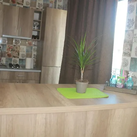 Apartament Wild Horse Appartement Năvodari
